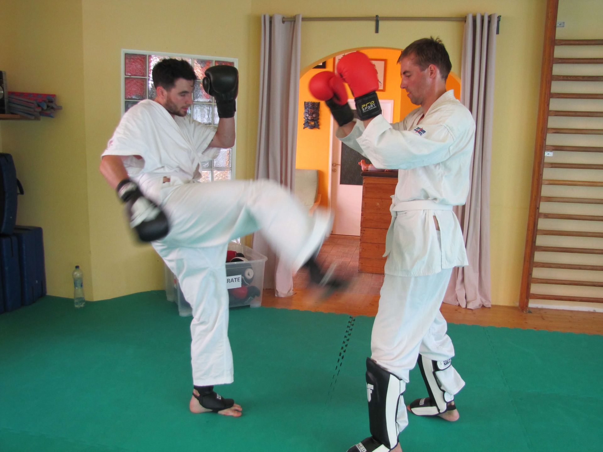 Shin Karate examination of grade 18.6.2016 Shin Karate